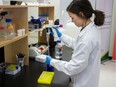 University of Alberta pharmacology assistant professor Anna Taylor works in a lab with biological compounds found in cannabis. Taylor is heading up a research study into the use of cannabinoids to treat chronic pain that patients with multiple sclerosis experience.