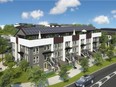 An artist's rendering of Avalon Master Builder's Zen Sequel, which offers net-zero and net-zero ready townhomes.