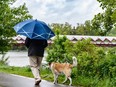 A man and his dog take a walk on the Bow River pathway in June 2022. Azin Ghaffari/Postmedia