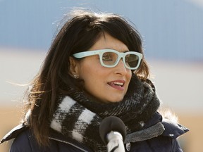 Former Culture, Multiculturalism, Women's Status Minister Leela Aheel.