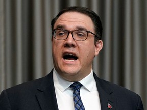 Environmental Park Minister Jason Nixon. File photo.
