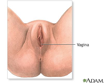Kerala girls and women vagina fuck