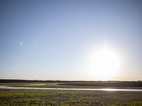 Water is seen on Sandy Lowndes’ land where flooding has occurred, an issue caused by illegal drainage.