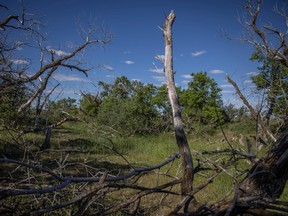 A dried creek bed on rancher Doug Wilson’s land that has been recently been affected by drought and little water flows from the reservoir.