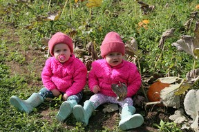 Twins Hallie and Logan Gray check out the pumpkin patch at the Fall Day at the Farm event just east of Owen Sound Saturday. Hosted by the Parkin family and presented by Owen Sound Harvest for Hunger, the event supports Canadian Foodgrains, which helps feed the less fortunate in the world through emergency food assistance, helping train others to grow their own food and engaging Canadians and government. Greg Cowan/The Sun Times