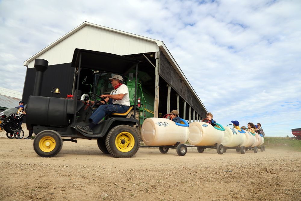 Day Of Fun At Meaford Farm Raises Money For Emergency Food Assistance