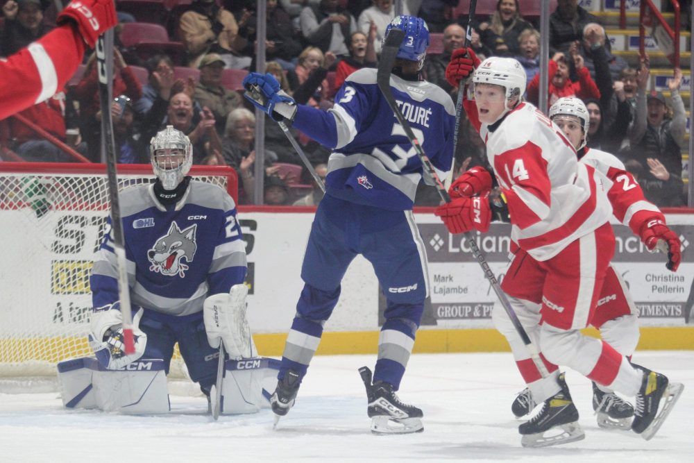 Soo Greyhounds Pick Up A 7 3 Win Over The Sudbury Wolves In OHL Action