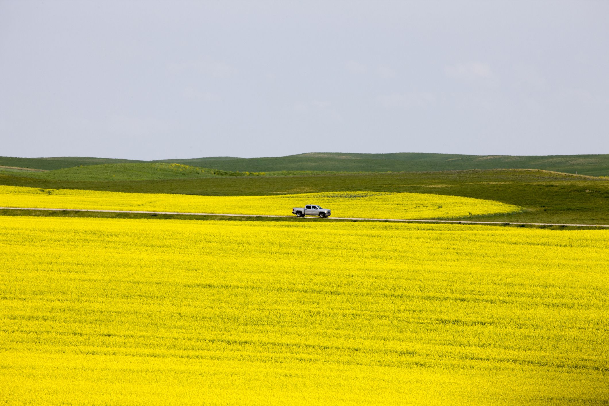 Extreme Heat Blasts Sask Crops Increases Fire Risk The Star Phoenix