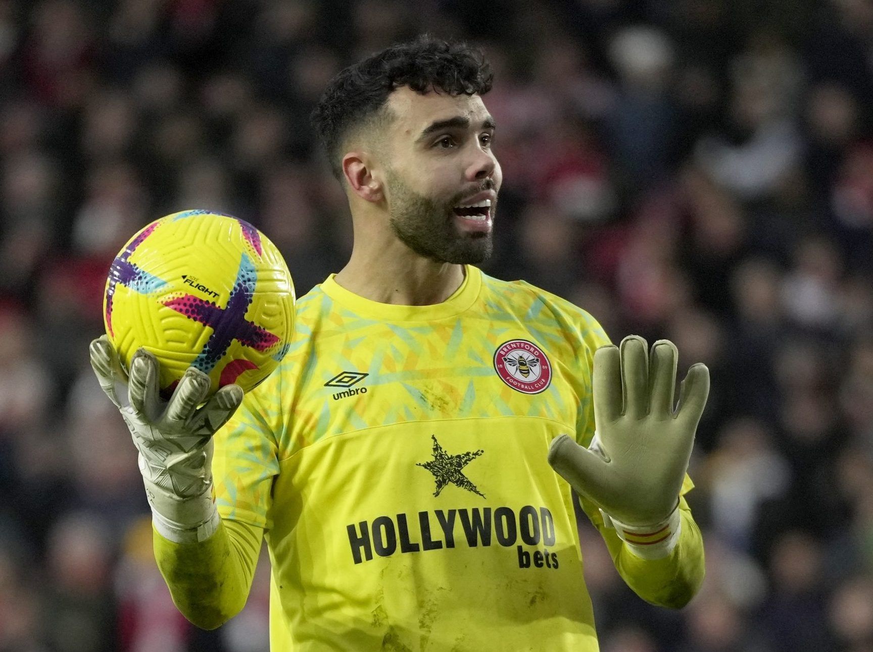 Arsenal Signs Goalkeeper David Raya On Loan From Brentford Windsor Star