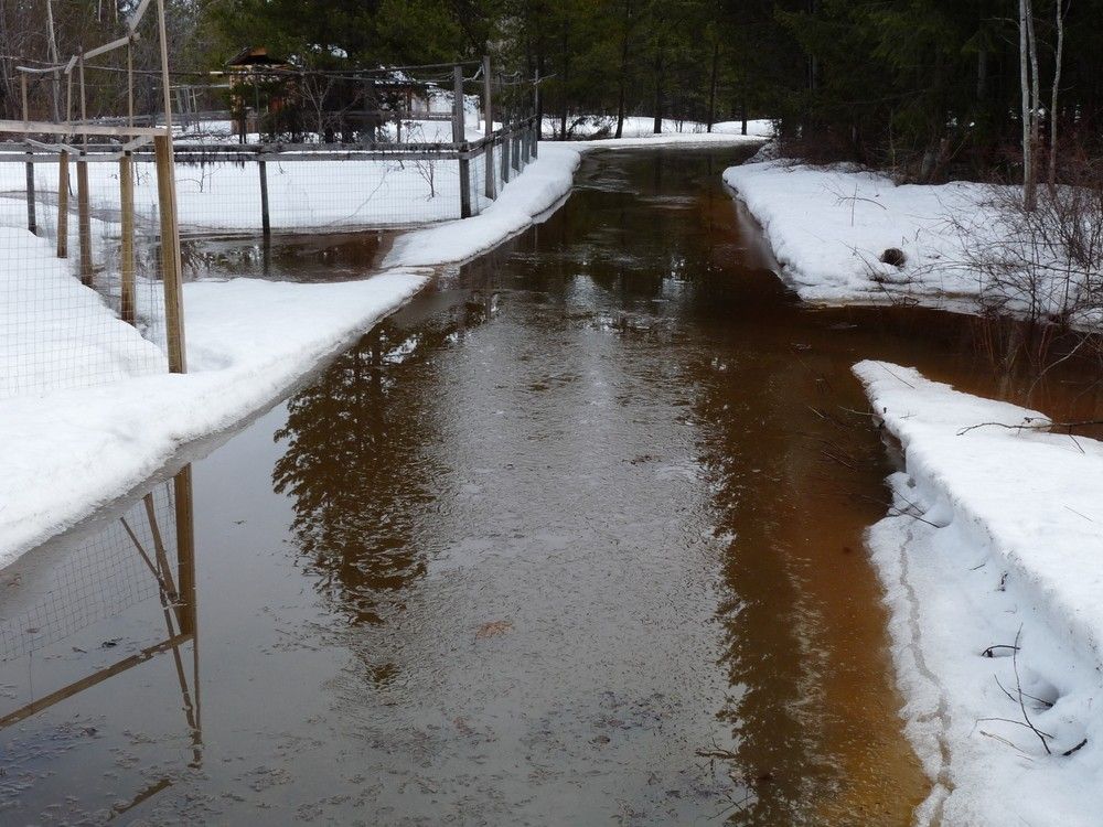 B C S Flood Strategy Must Incorporate Science On The Causes Of Flood