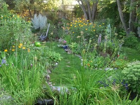 The garden in summer.  All this in just a few months.