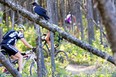 Start: Fernie, B.C. Finish: Fernie, B.C. A crow watches the racers on the Stage 1 TT course.