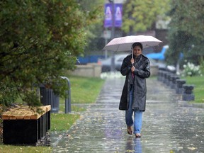 Calgary's Sonali Chavan walked home in the rain through Central Memorial Park on October 6, 2011. Photo by Colleen De Neve