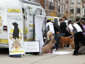 Dog owners line up in Toronto on Saturday to submit their picture perfect pooches into Fido's Casting Call, which will raise funds in support of Lions Foundation of Canada Dog Guides, and find the next Fido spokes-dog. (CNW Group/Fido)
