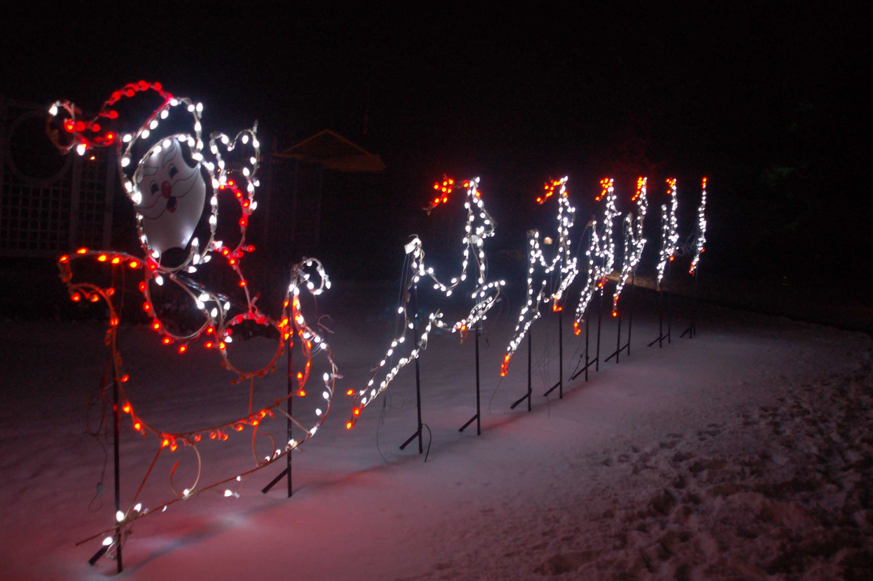 Calgary ZooLights an evening spectacle of light Calgary Herald