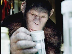 Academy Award-winning visual effects house WETA Digital, has created a CG character -- Caesar -- of unprecedented emotion and intelligence, for RISE OF THE PLANET OF THE APES.