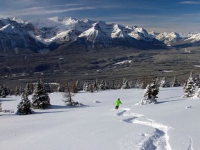 Next time you go skiing, find some trails off the beaten path. You'll be pleasantly surprised.