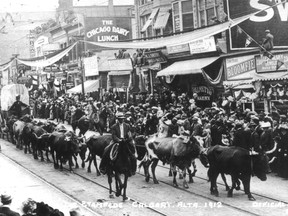 This eight-span bull team was part of the first Stampede Parade in 1912.