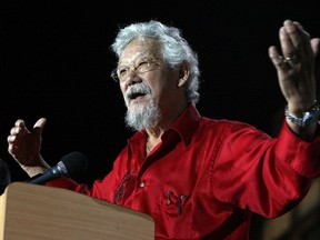 Canadian environmentalist David Suzuki