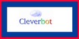 Cleverbot Framed