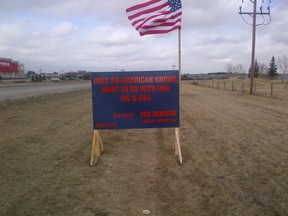 Lawn sign with flag Picture