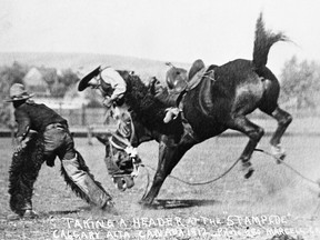 In 1922 exhibition officials call for  the return of "cowboy contests." Here is rodeo action from the 1912 Stampede.  Photo: Courtesy, Glenbow Archives -- NA-335-4
