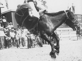 A rodeo competitor at the 1955 Calgary Stampede.