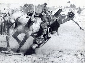 Frank Duce of Cardston at the '47 Stampede knows making that ride on a bucking bronc is hard enough without a microphone! Herald File Photo