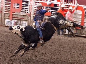 One year your bucking at the Stampede, next year your stuffed and on the midway! Herald file photo