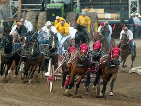 Flak jackets became mandatory for chuckwagon drivers in 2003. Herald file photo.
