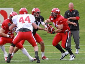 Stamps coach John Hufnagel watches closely as rookie running back Matt Walter takes a handoff during Sunday's mock scrimmage. Photo, Gavin Young, Calgary Herald