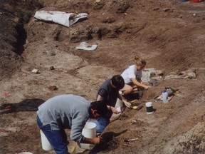 Digging for fossils is hardwork. Photo: Herald archives