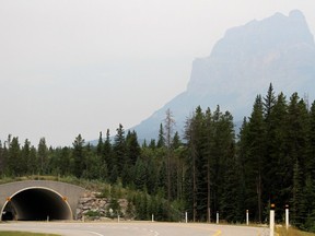 A wildlife crossing over the Trans-Canada Highway in Banff National Park this summer. Photo by Leah Hennel/Calgary Herald.