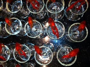 shrimp cocktail glasses