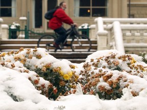 Stuart Gradon/Calgary Herald