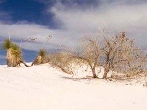 9h White Sands New Mexico