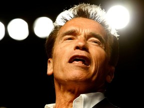 Former California governor Arnold Schwarzenegger.