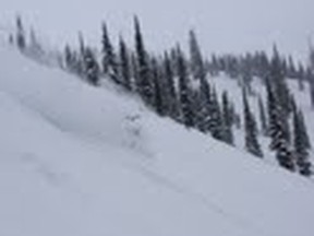 Powder Love, Fernie Alpine Resort this week