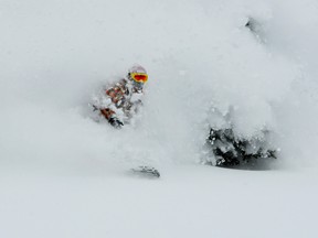 fernie dream destination