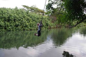 Tarzan swing