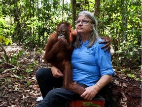 Birute Galdikas will share her research into orangutans.