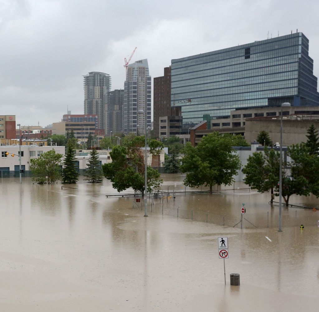 City Hall, as seen from East Village. Leah Hennel/Herald