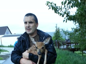 Kevin Altheim rescued this young deer in the Bow River in Bowness.