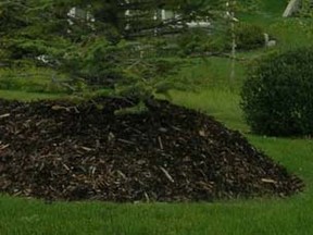 Mulch piles (2)