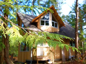 cabin with trees surrounding