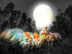A 40-ft tall light shines on painted sheep to mark Beakerhead's first year.