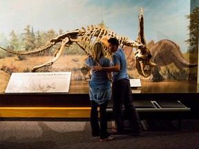 Holly and Brett look for clues at the Royal Tyrrell Museum on The Amazing  Race Canada.