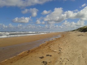 This is what was hidden behind a massive dune  at Greenwich, Prince Edward Island National Park.