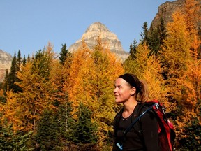 Herald reporter Colette Derworiz checks out the larches at Larch Valley last September.