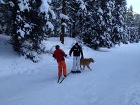 Kids like cross country, skiing and snowshoeing in the Canadian Rockies